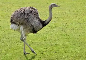1727233372866.png