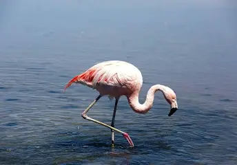 1727711859583.png