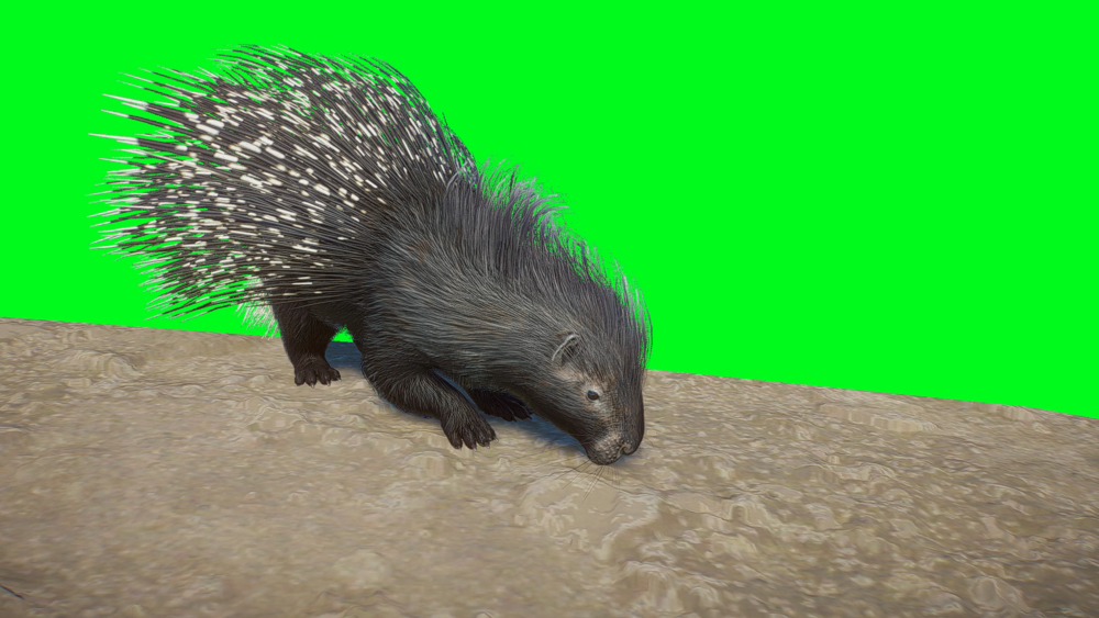 1728051538206.png