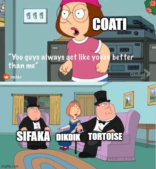 1729094453187.png