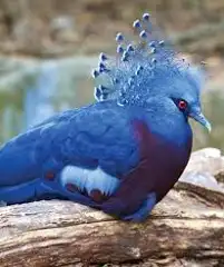 1729176259607.png