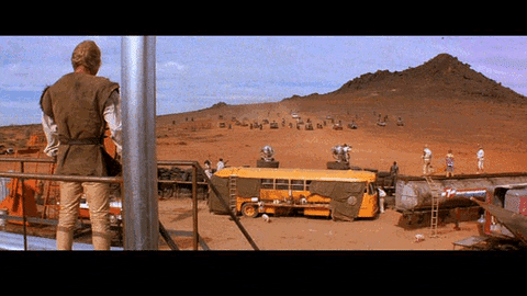 1730316436610.gif