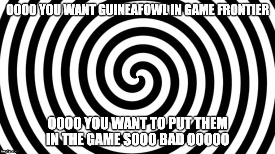 1730678056355.png