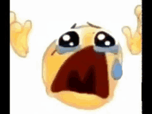 1732188274830.gif