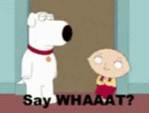 1732366476483.gif