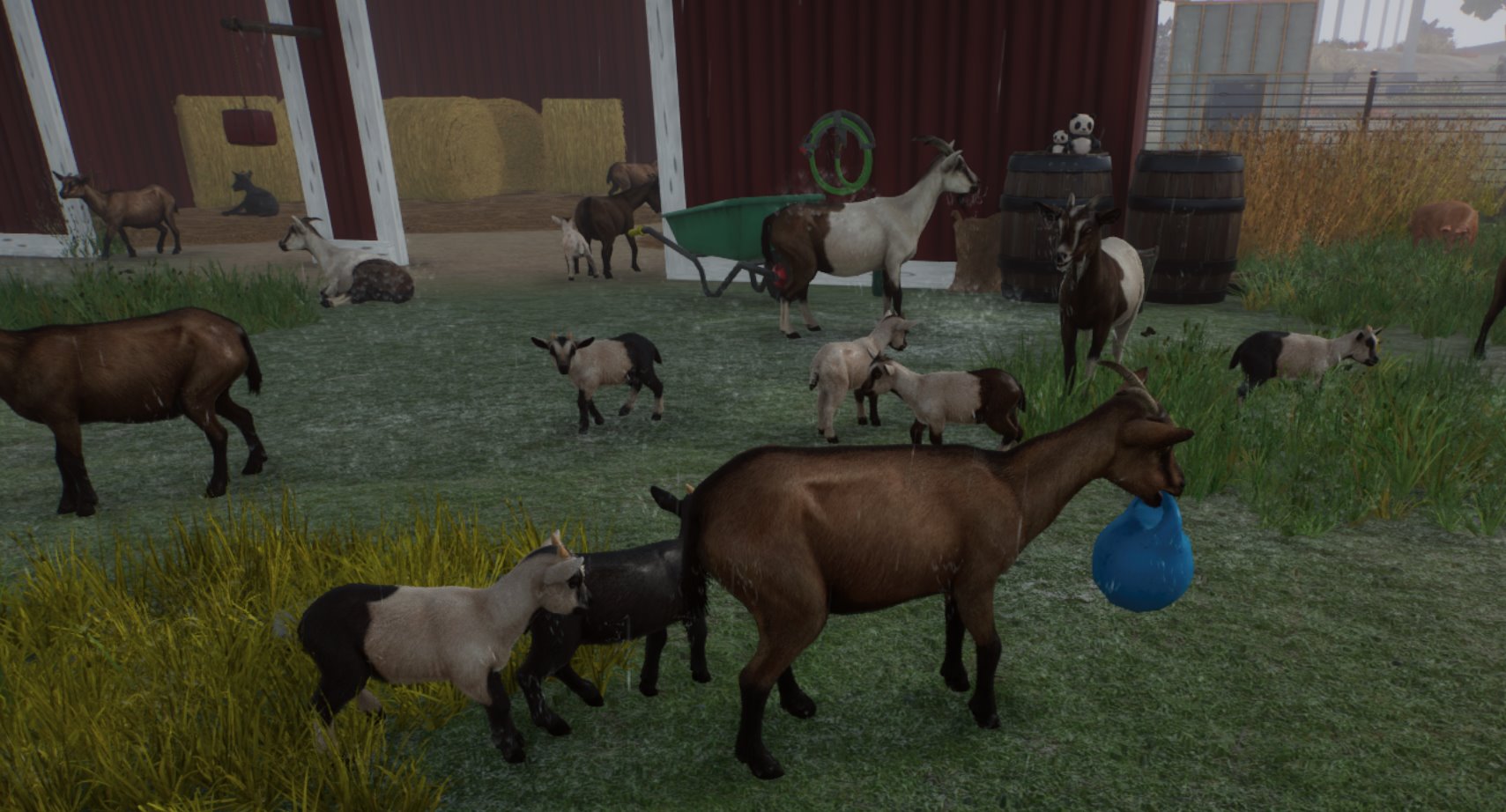 A group of goats in a barnDescription automatically generated