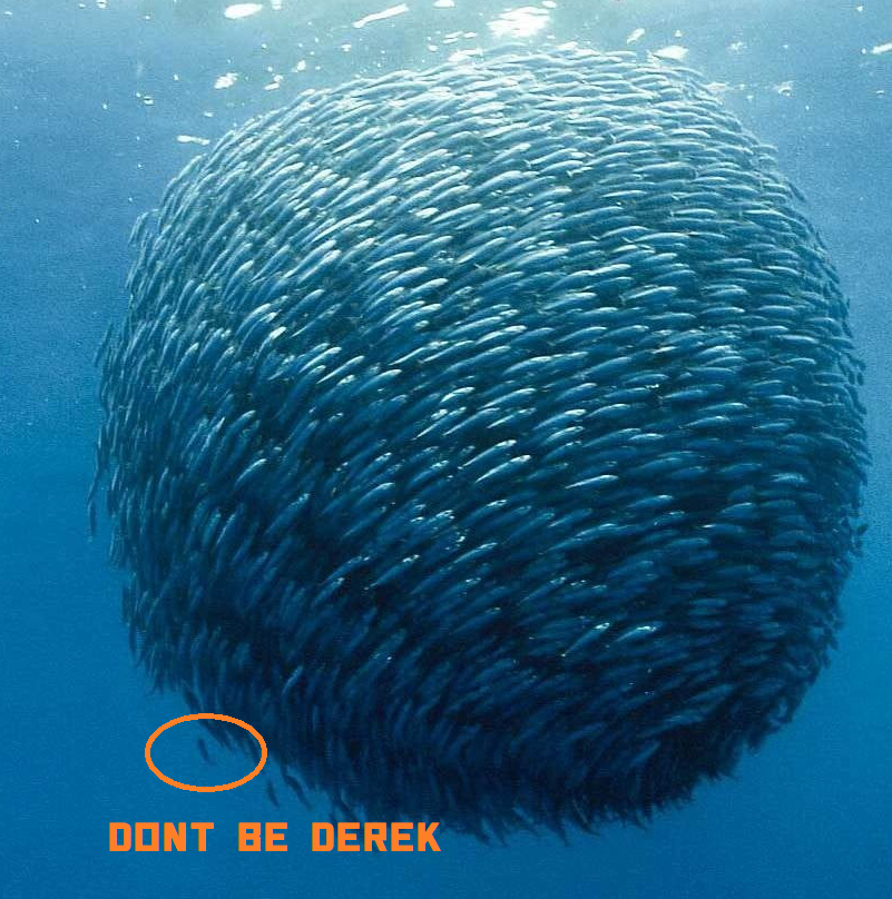 1740404416619.png