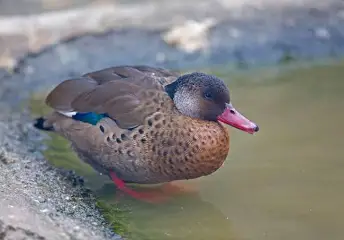 1740837430083.png