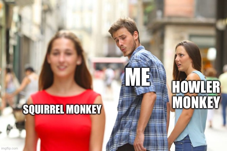 1741784886901.jpeg