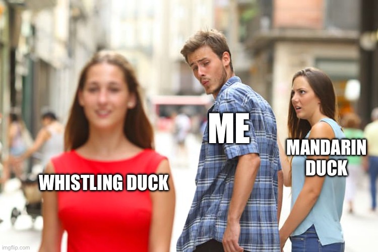 1741784926633.jpeg