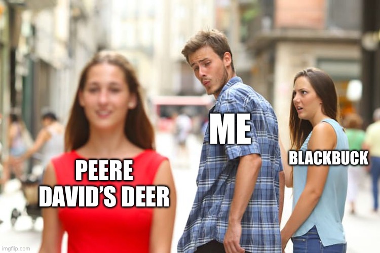 1741784984436.jpeg