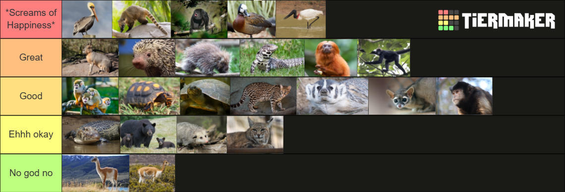 1743294900699.png