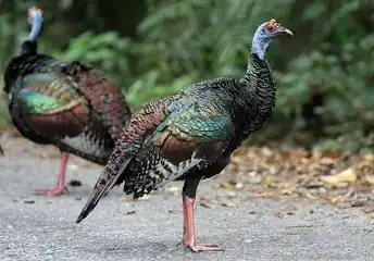 1743517119631.png