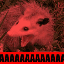 1743907263629.png