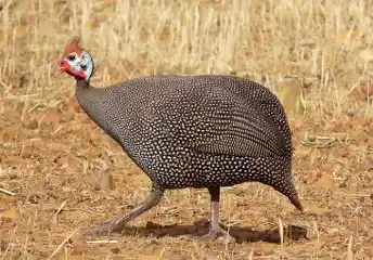 1744546835309.png