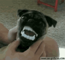1744638079594.gif