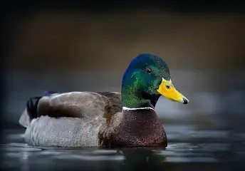 1744639618277.png