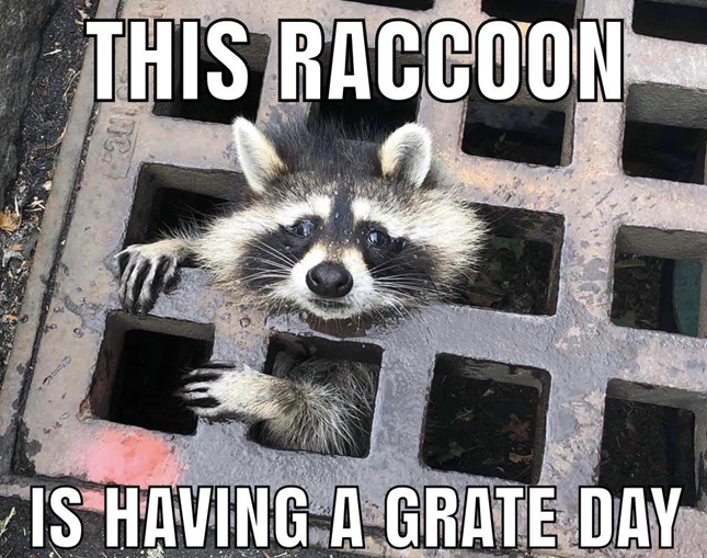 1745928586970.png