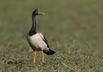 1746670537630.png