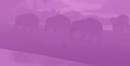 1748453606521.png