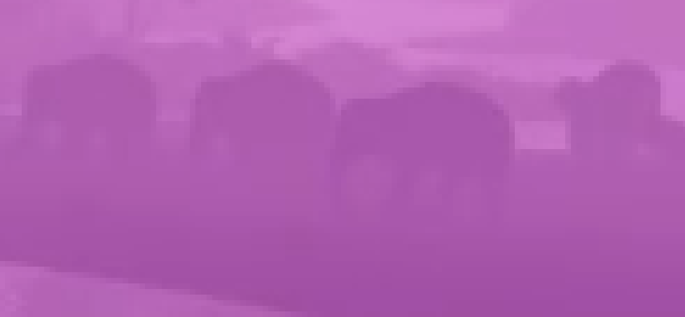 1748453753391.png