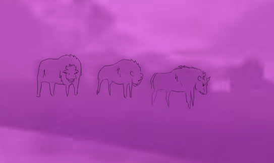 1748532384417.png