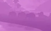 1749622565414.png
