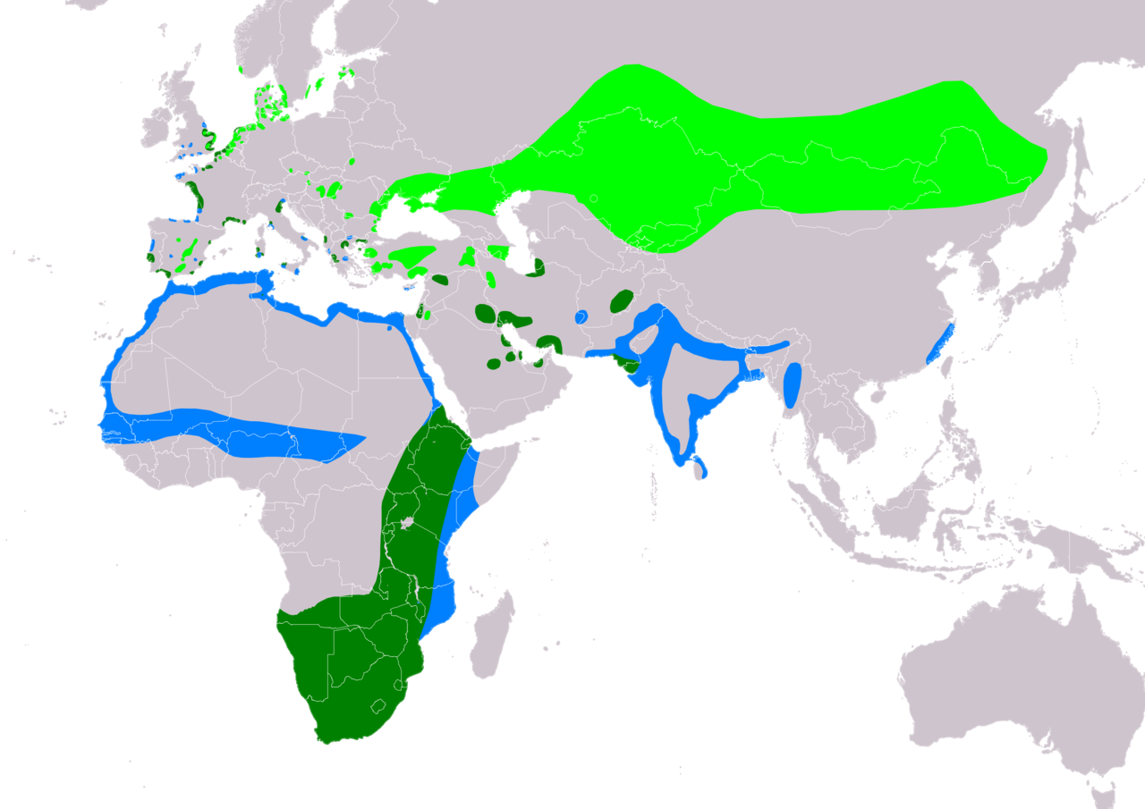 1750109492430.png