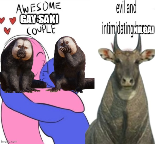 1750516918445.png