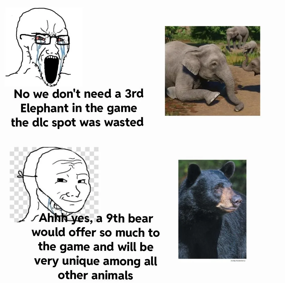 1750622017336.png