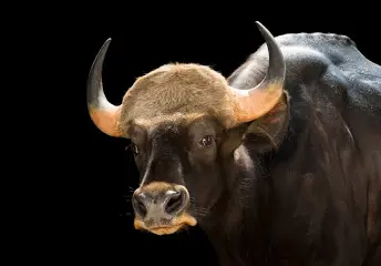 1752514541361.png