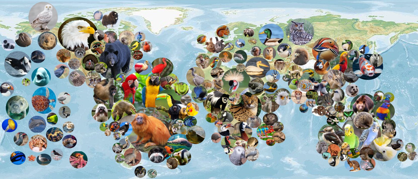 A map of the world with different animalsAI-generated content may be incorrect.