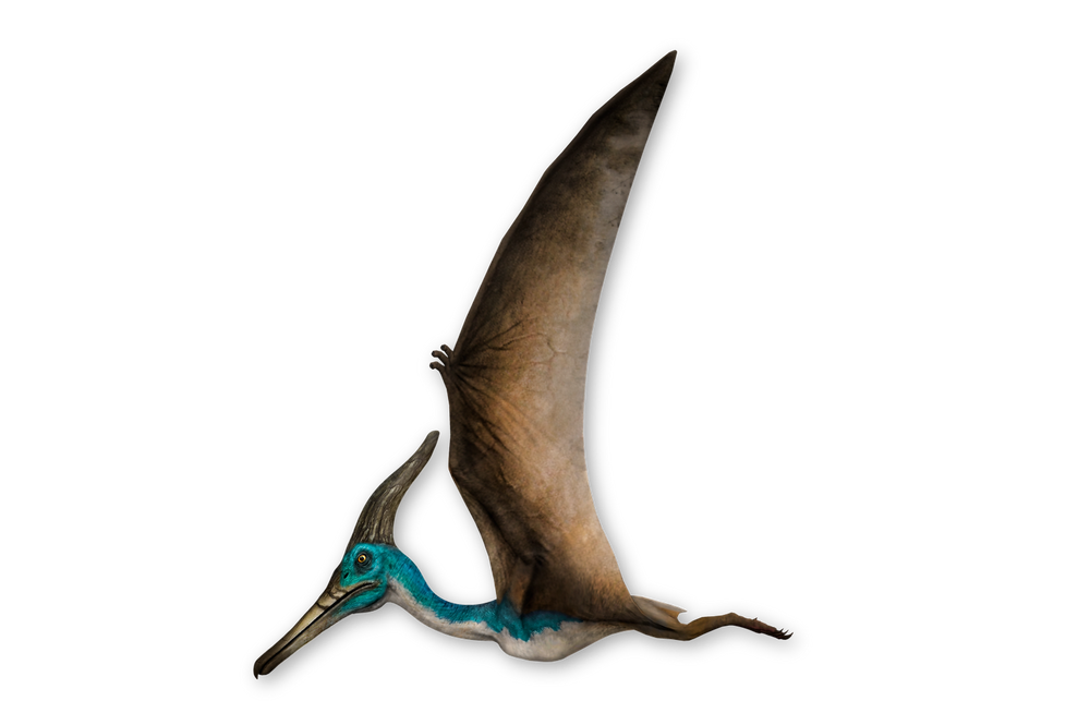 1752736132173.png