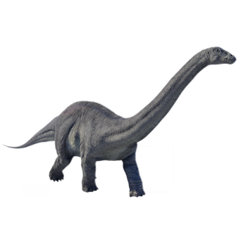 1753086483228.png
