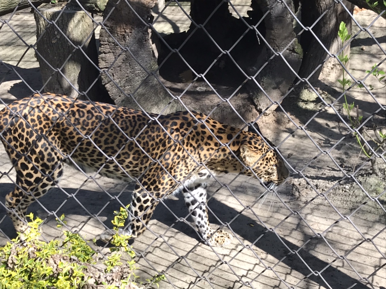 18099696-1980-44E1-B940-9A1D5208F518.jpeg