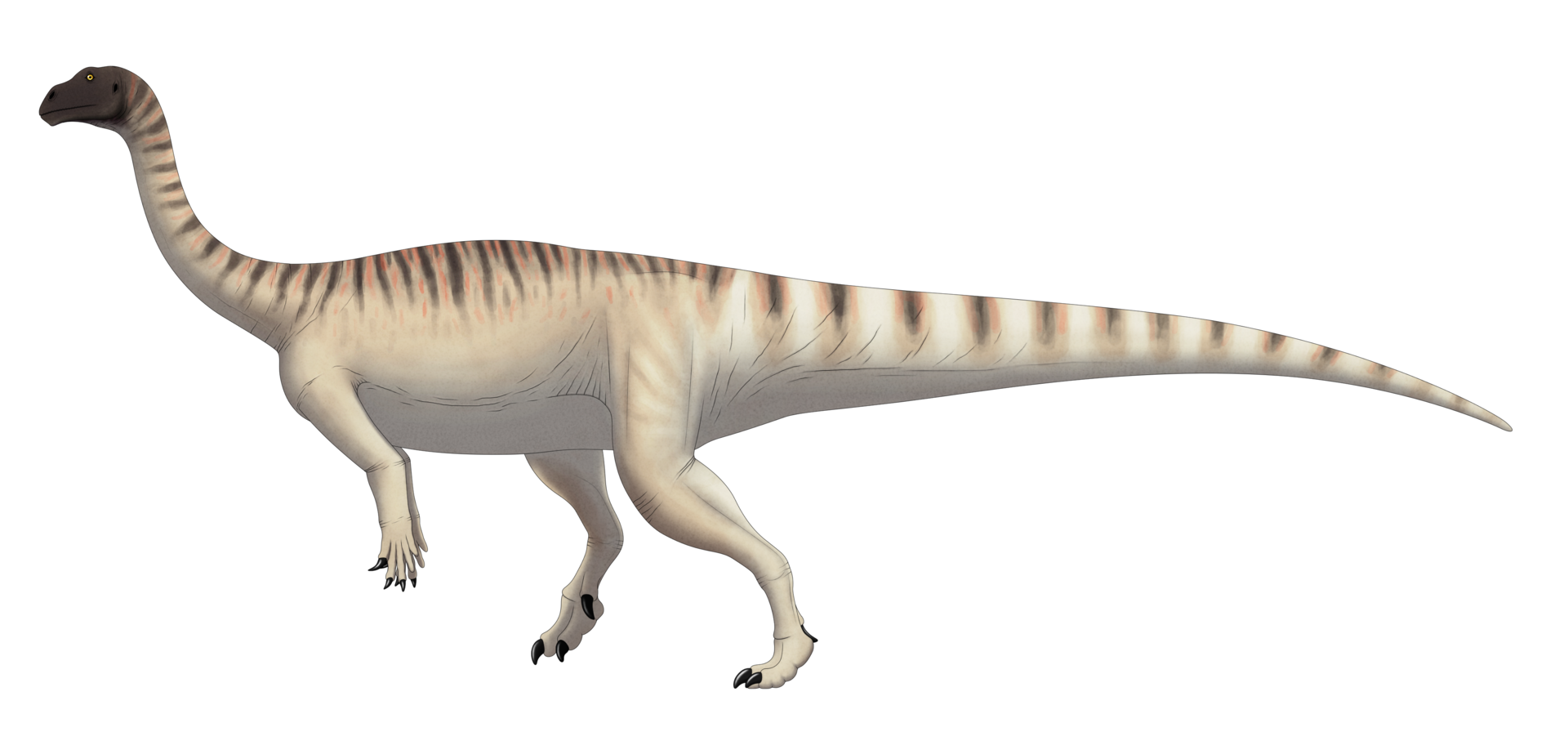 1920px-Mussaurus_patagonicus_life_restoration.png
