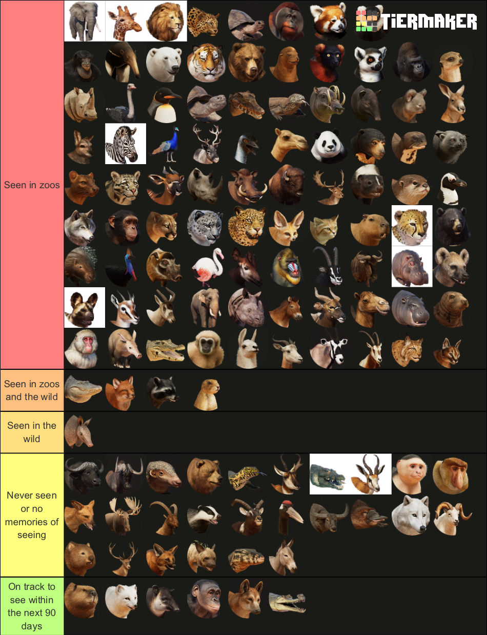 19C7C63C-40EB-48E8-B94C-50F812ED056D.png