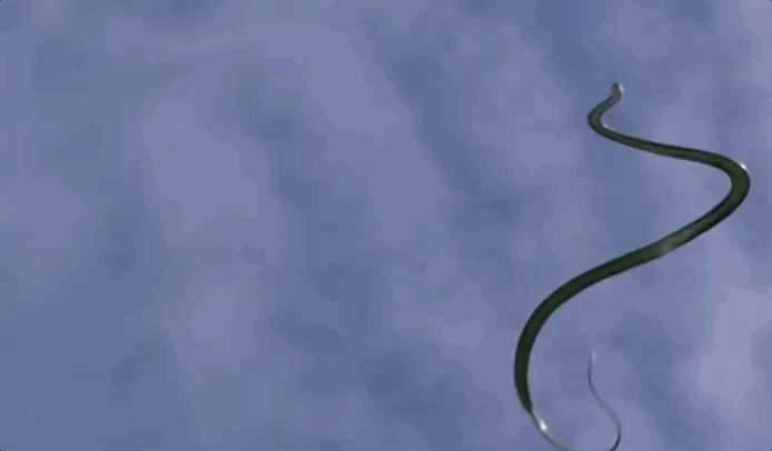 1d09d46d-a7f5-42aa-b7fa-d7fdc8c5af30-snake1.gif