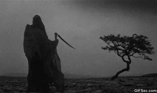 1FE799D9-391D-4BDA-8005-53F12AF62FC8.gif
