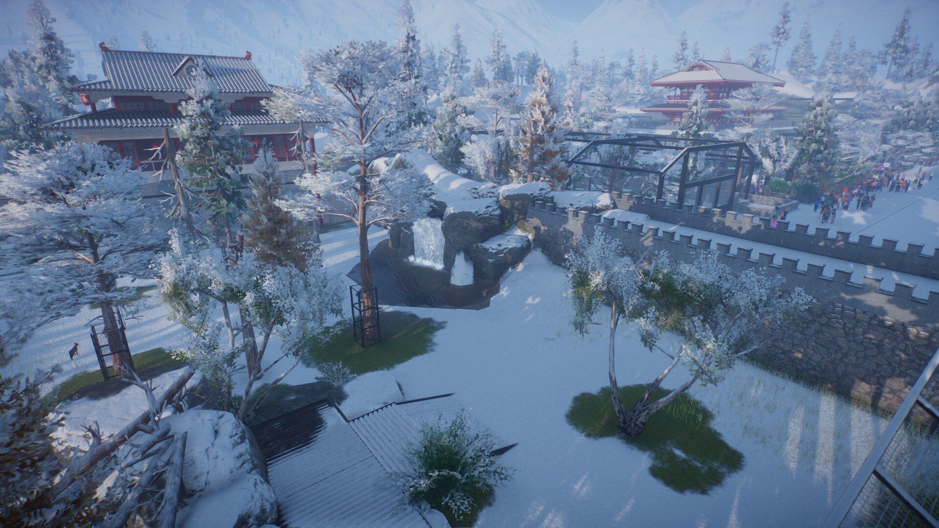 豺2.jpg
