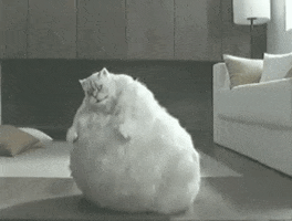 200.gif