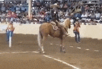 200w.gif