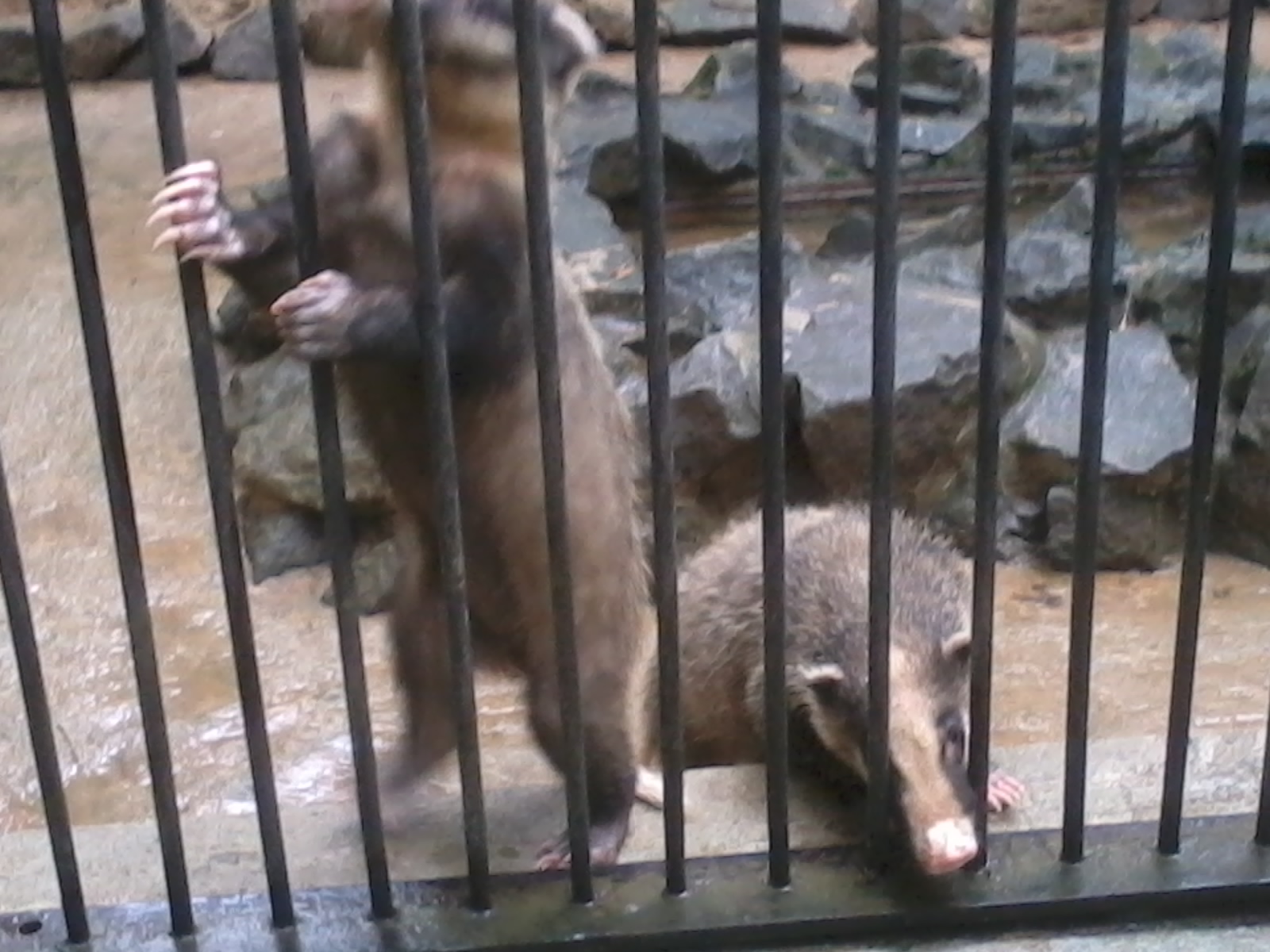 2012-08-28 10.04.00.jpg