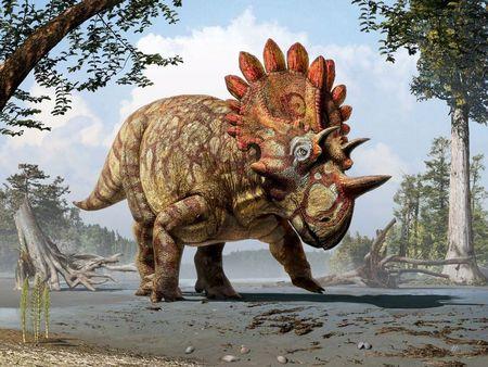 2015-06-04T161034Z_1_LYNXMPEB530WH_RTROPTP_2_SCIENCE-DINOSAUR.jpg