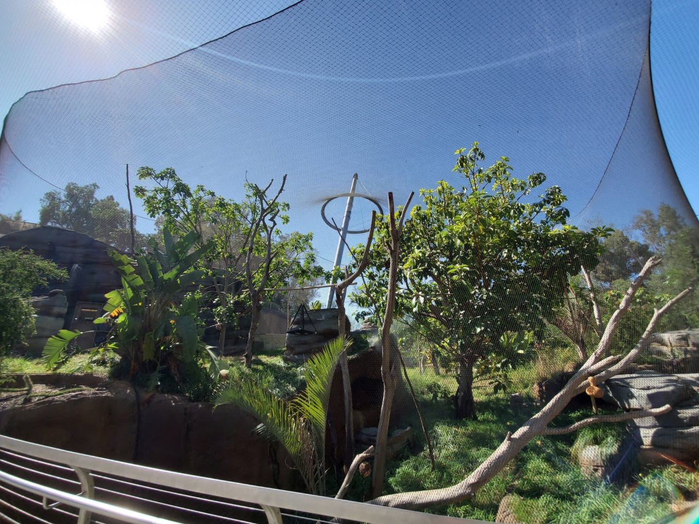 20190907_103136-01 (1).jpeg