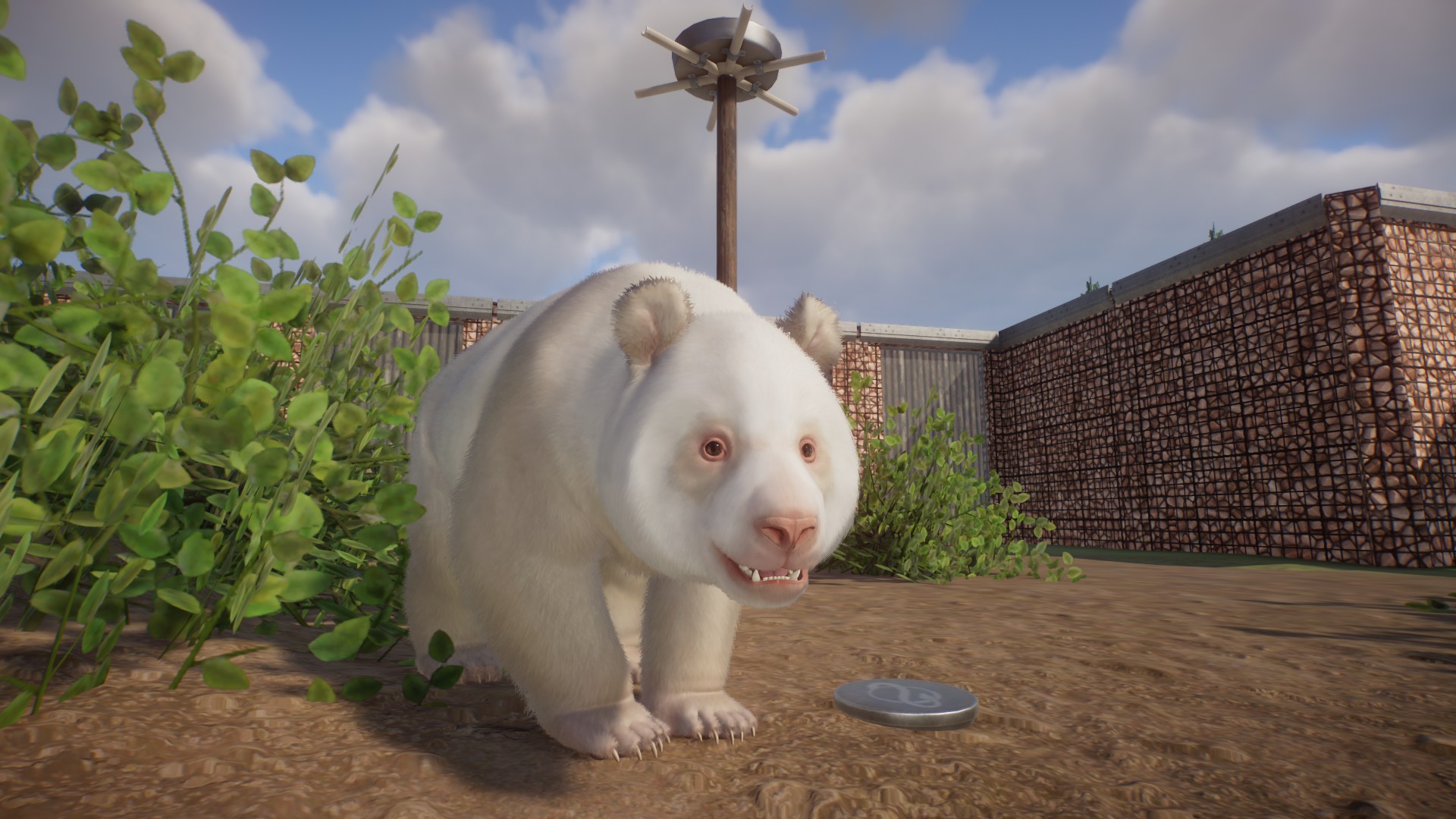 Albinos | Page 4 | Frontier Forums