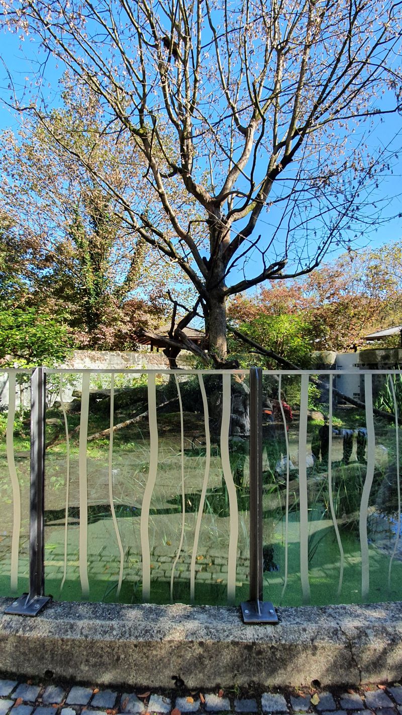 20201004_122717.jpg