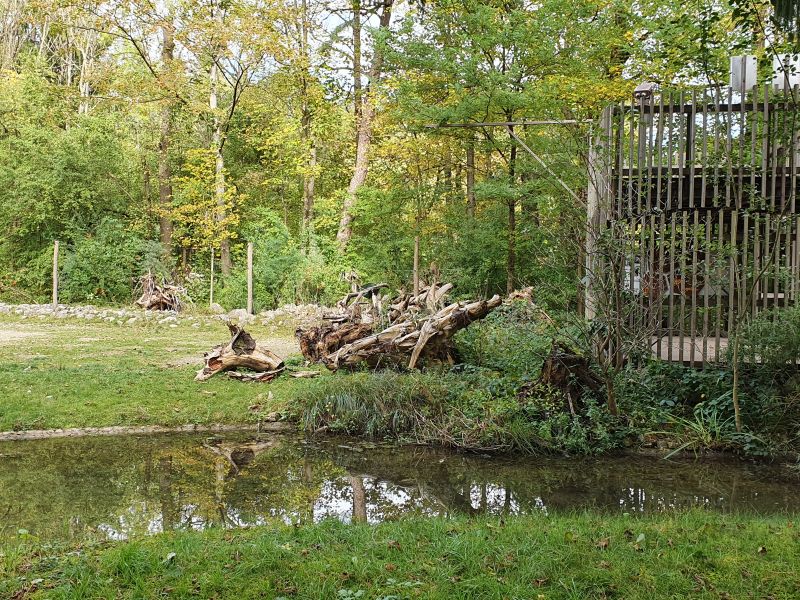 20201004_152432.jpg