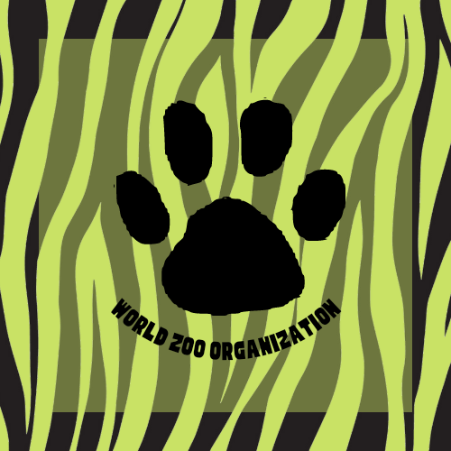20221019_101816_0000.png