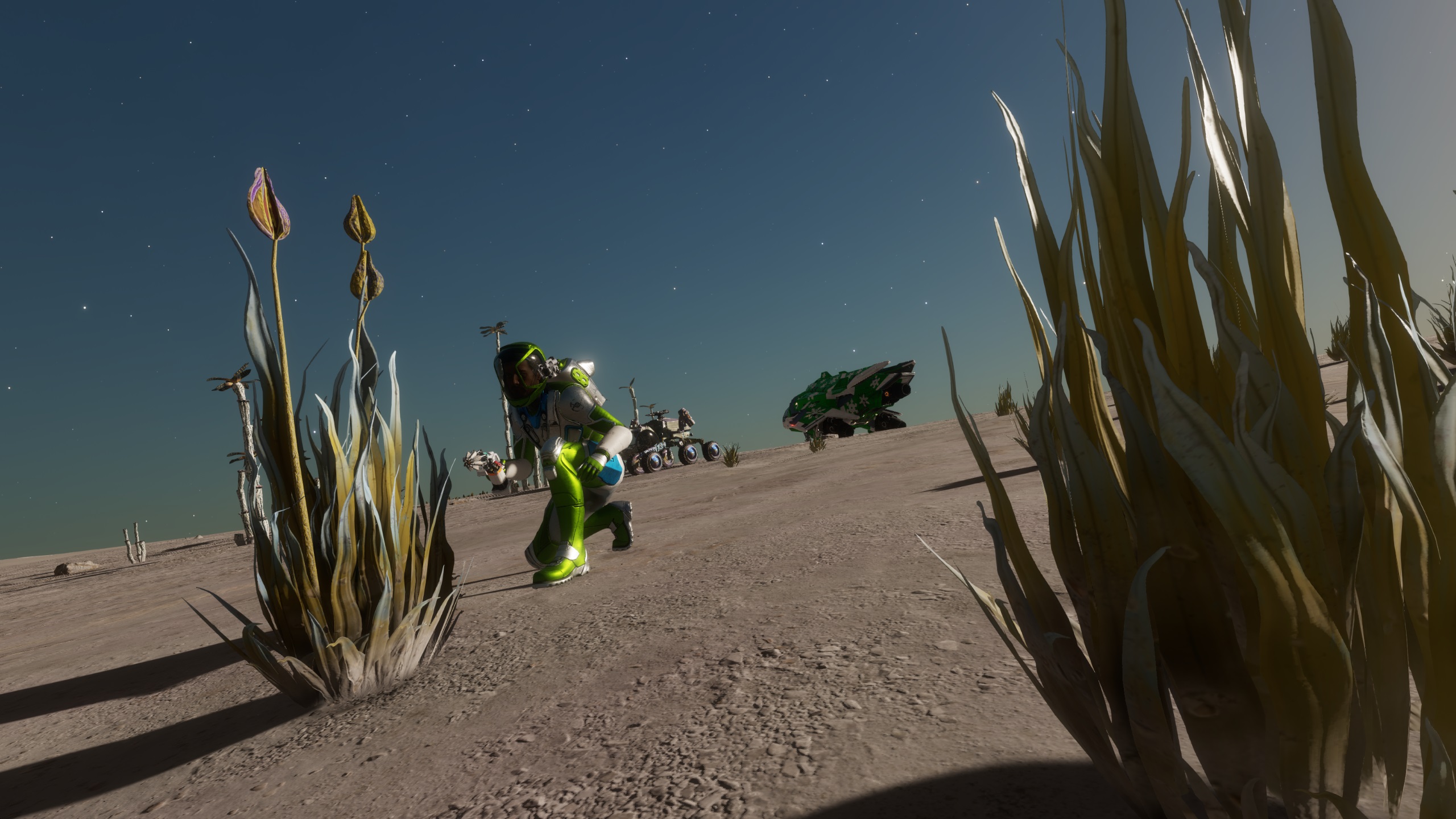 20221202 plants.jpg